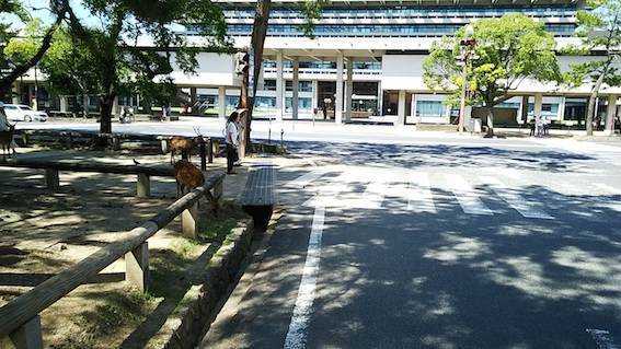 f:id:funyada:20190907155135j:plain f:id:funyada:20190907155135j:plain