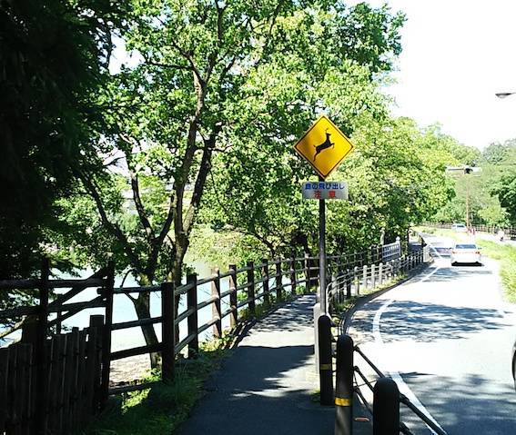 f:id:funyada:20190908001010j:plain f:id:funyada:20190908001010j:plain