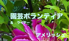 f:id:funyada:20200430155339p:plain f:id:funyada:20200430155339p:plain
