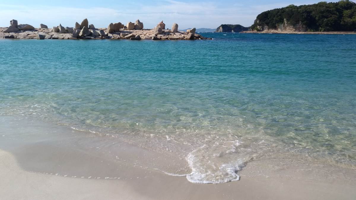 ９月の白浜 犬連れ旅行 フーフィーのプーケットとイタリアと犬
