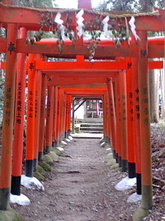 f:id:furamubon:20080422221732j:image:h175