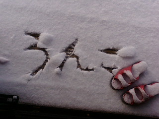 f:id:furamubon:20080422221733j:image:w175