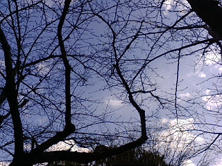 f:id:furamubon:20080422221738j:image:w175