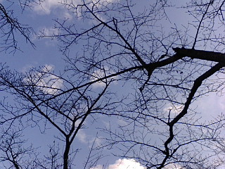 f:id:furamubon:20080422221740j:image:w175