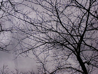 f:id:furamubon:20080422221748j:image:w175