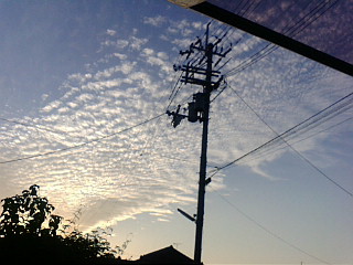 f:id:furamubon:20080422221752j:image:w175