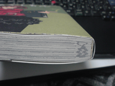 f:id:furan:20090325232903g:image f:id:furan:20090325232903g:image