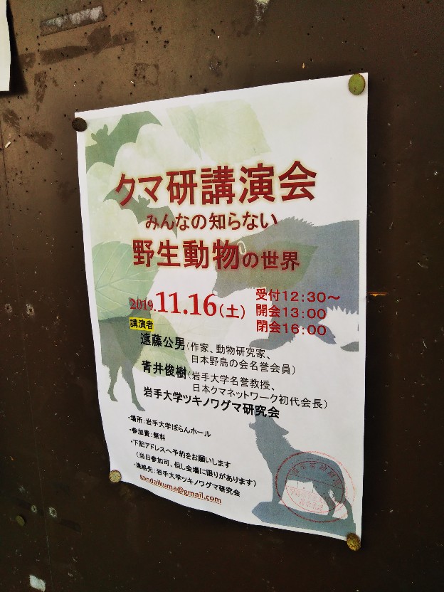 f:id:furandon_pig:20211202234045j:plain
