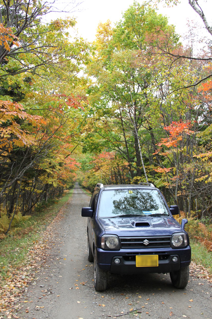 f:id:furano3:20200124205419j:plain f:id:furano3:20200124205419j:plain