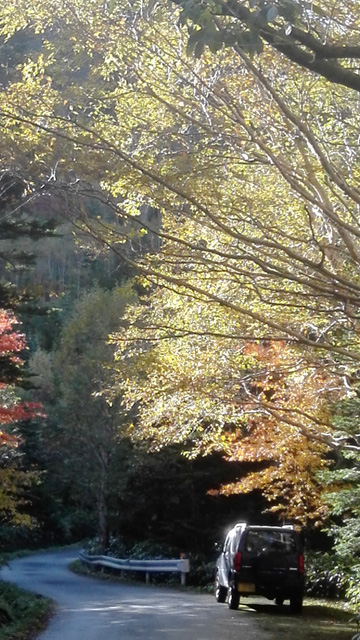 f:id:furano3:20200124210647j:plain f:id:furano3:20200124210647j:plain