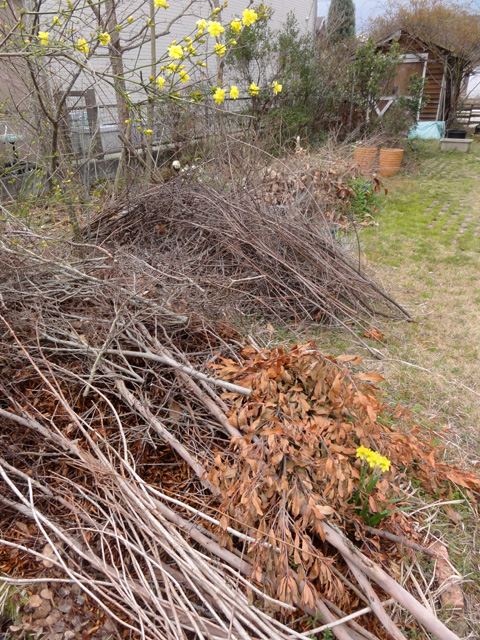 f:id:furano3:20200320195016j:plain