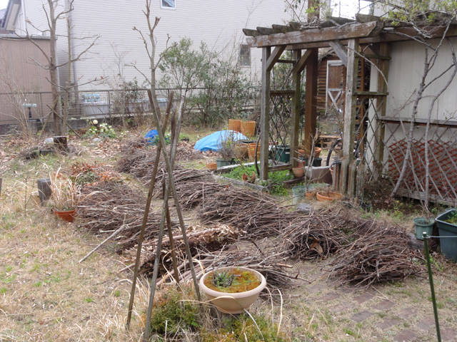 f:id:furano3:20200320195108j:plain