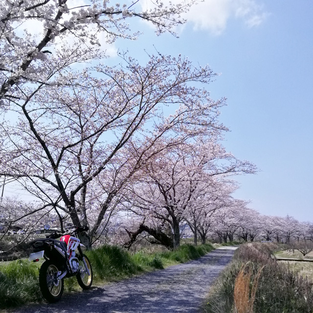 f:id:furano3:20200404194232j:plain f:id:furano3:20200404194232j:plain
