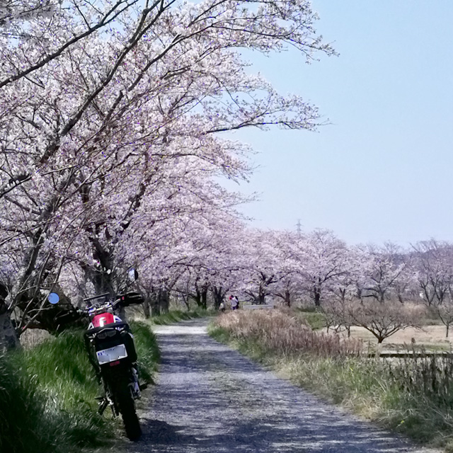 f:id:furano3:20200404194342j:plain f:id:furano3:20200404194342j:plain