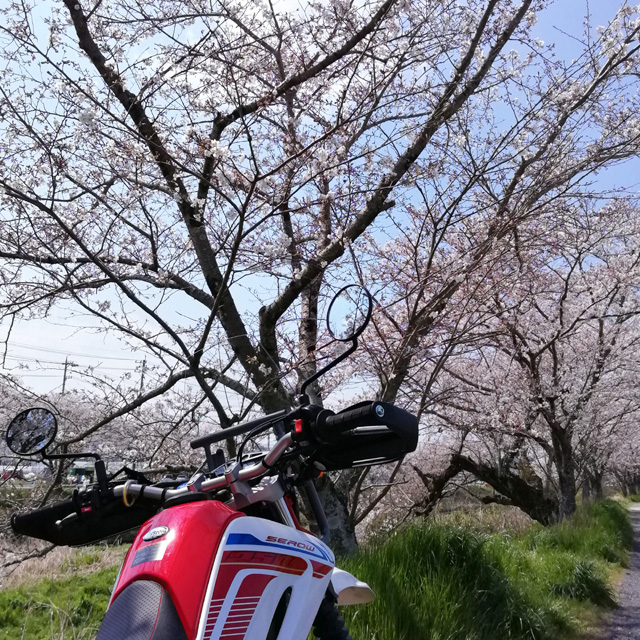 f:id:furano3:20200404194428j:plain f:id:furano3:20200404194428j:plain