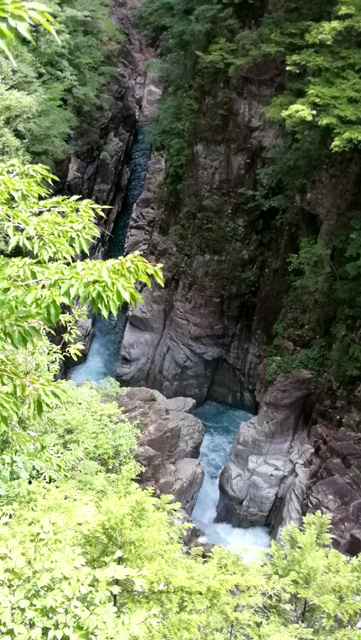 f:id:furano3:20200626214849j:plain f:id:furano3:20200626214849j:plain
