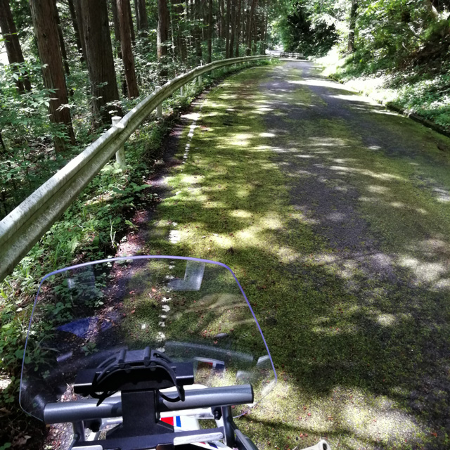 f:id:furano3:20200626215512j:plain f:id:furano3:20200626215512j:plain