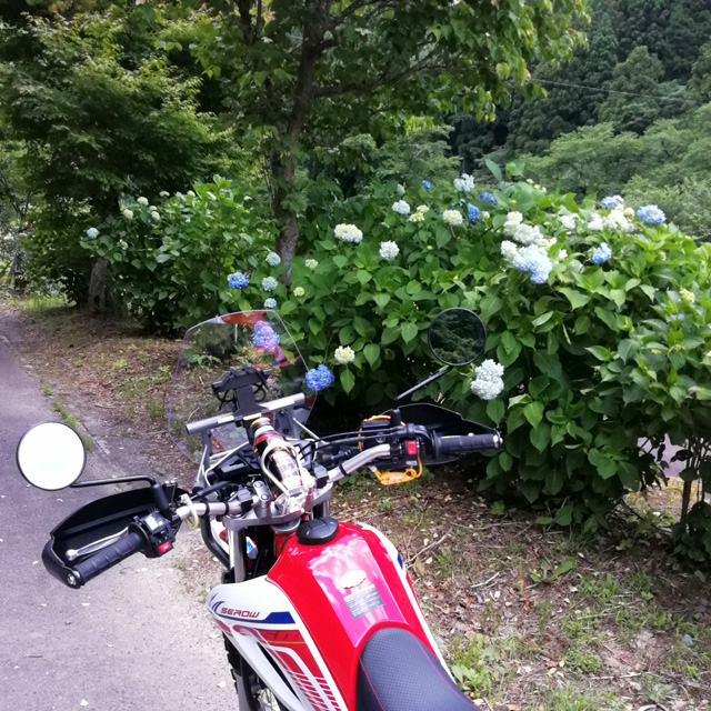 f:id:furano3:20200626215556j:plain f:id:furano3:20200626215556j:plain