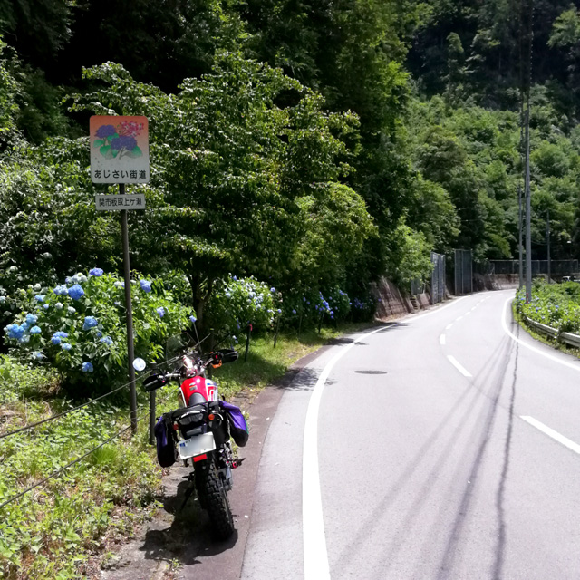 f:id:furano3:20200626215609j:plain f:id:furano3:20200626215609j:plain