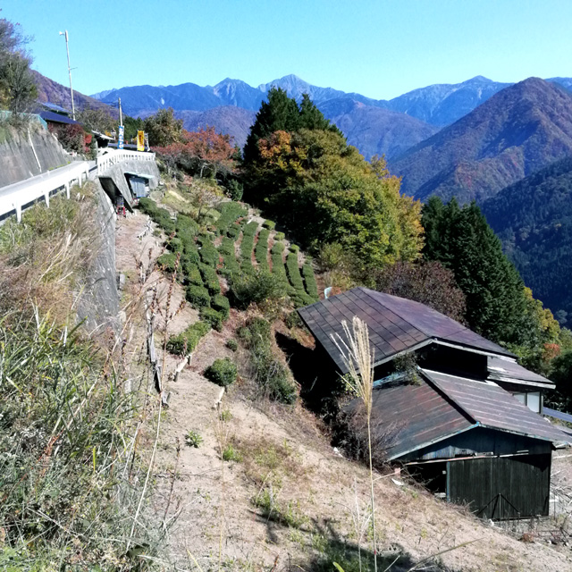 f:id:furano3:20201115140717j:plain