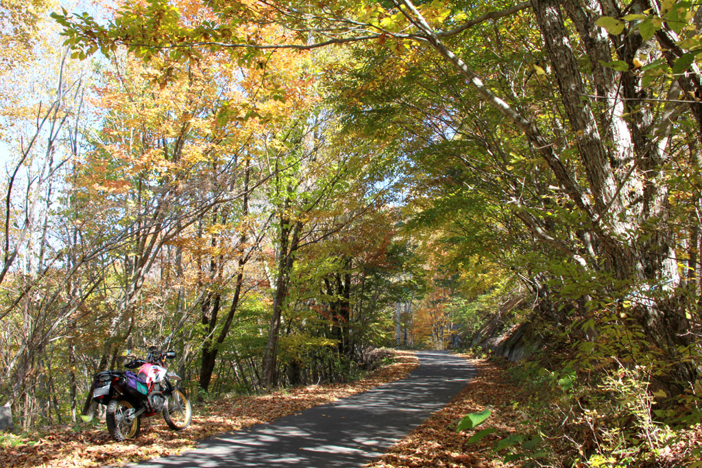 f:id:furano3:20201115140948j:plain