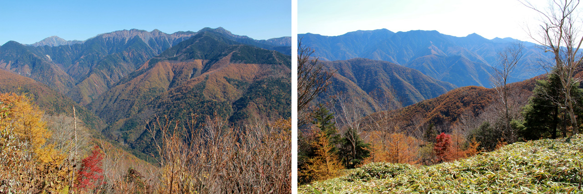 f:id:furano3:20201115141531j:plain