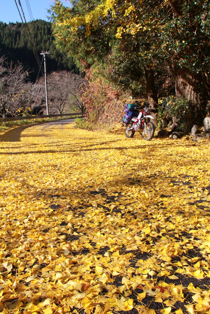 f:id:furano3:20201127212643j:plain