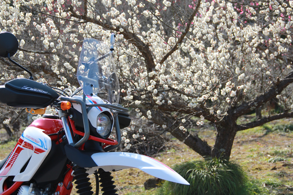 f:id:furano3:20210305231015j:plain