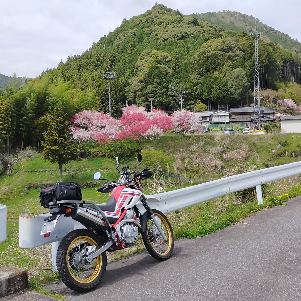 f:id:furano3:20210406211554j:plain