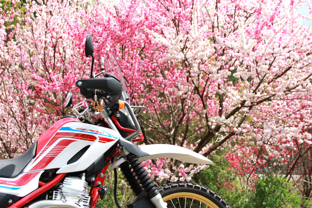f:id:furano3:20210406211649j:plain