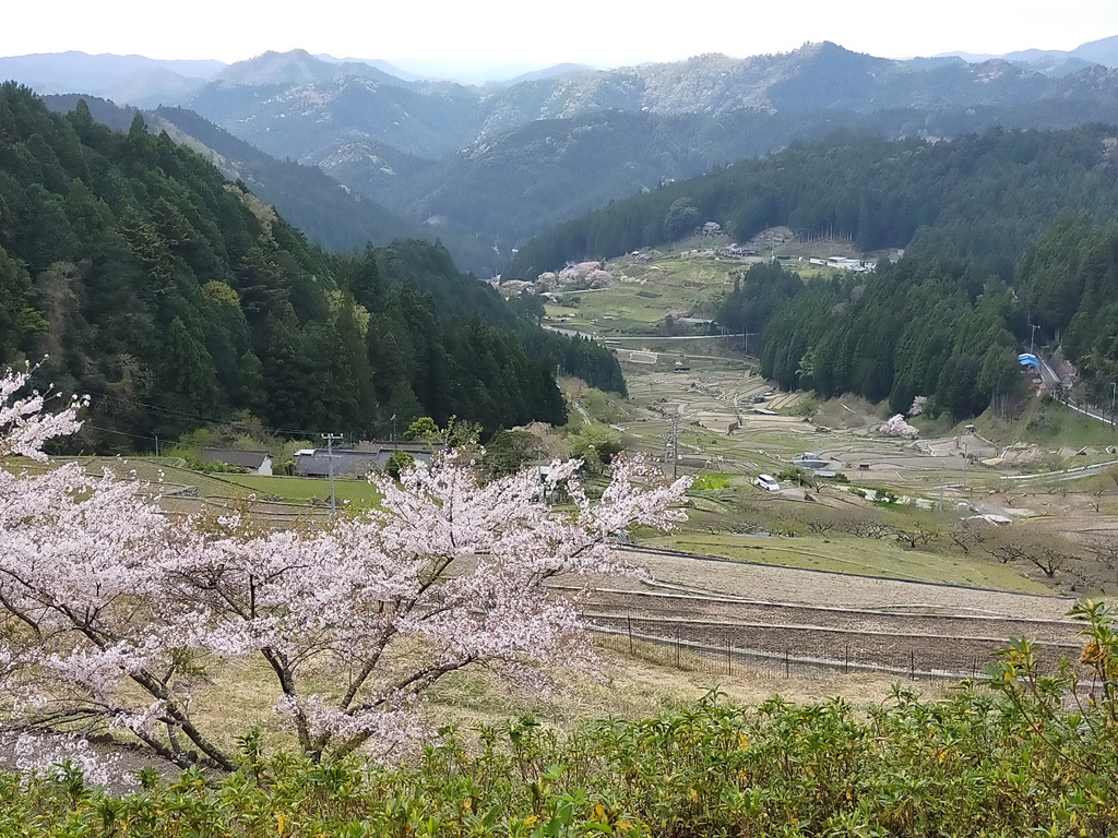 f:id:furano3:20210406211923j:plain