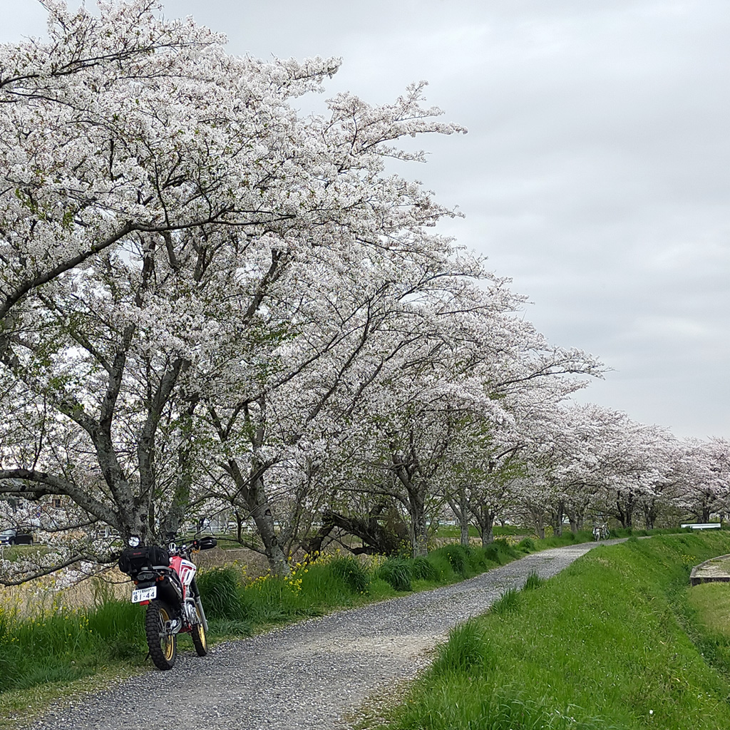 f:id:furano3:20210409234119j:plain