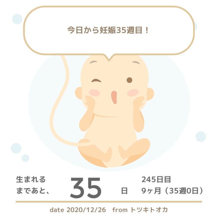 f:id:furantan:20201227070937p:plain