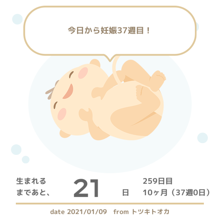 f:id:furantan:20210110075849p:plain