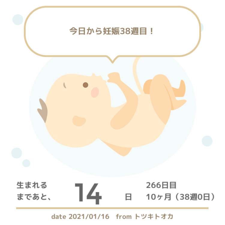 f:id:furantan:20210116230721p:plain