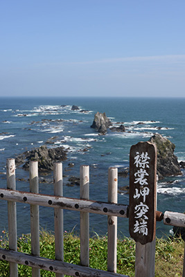 イメージ 13