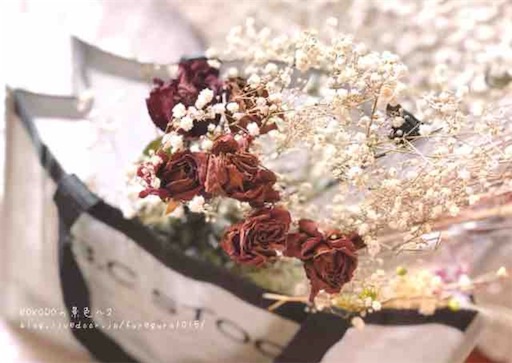 f:id:furegura1015:20250402004000j:image