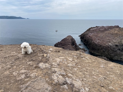 f:id:furegura1015:20250509142050j:image