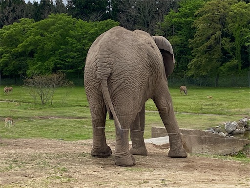 f:id:furegura1015:20250513215919j:image