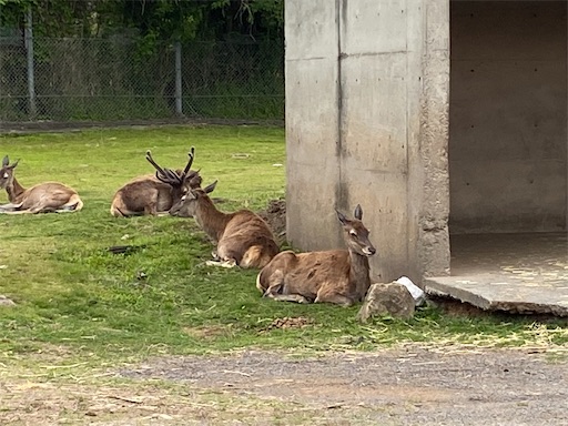 f:id:furegura1015:20250513220135j:image