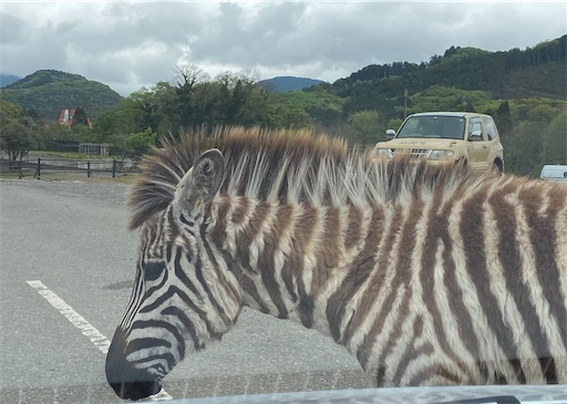 f:id:furegura1015:20250513232656j:image