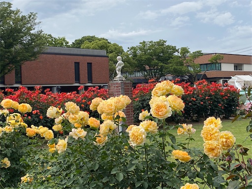 f:id:furegura1015:20250516144618j:image