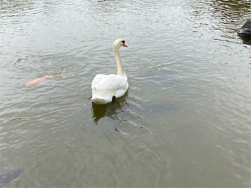 f:id:furegura1015:20250516151127j:image