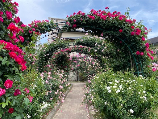 f:id:furegura1015:20250516152140j:image