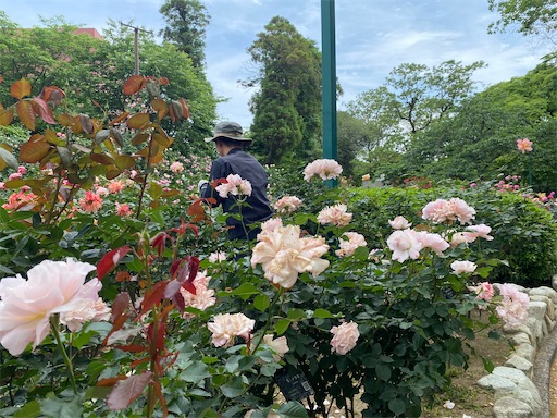 f:id:furegura1015:20250516154232j:image