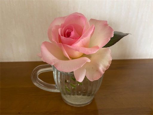 f:id:furegura1015:20250516160101j:image