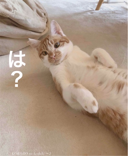 f:id:furegura1015:20250519235133j:image