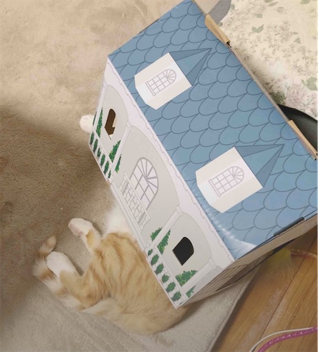 f:id:furegura1015:20250521082805j:image