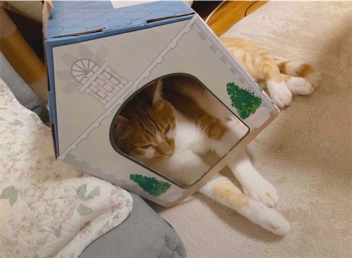 f:id:furegura1015:20250521102608j:image