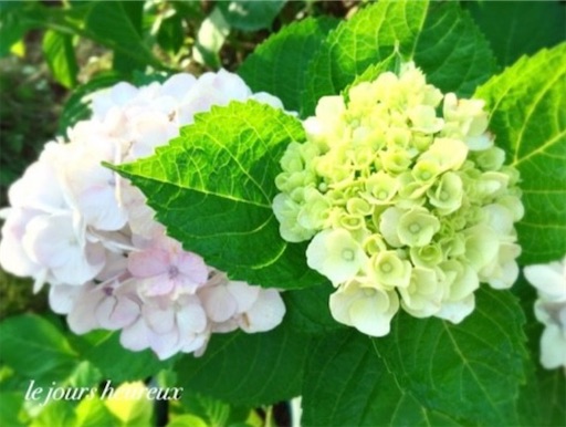 f:id:furegura1015:20250528210059j:image